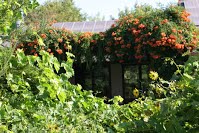 Muir Commons Workshop