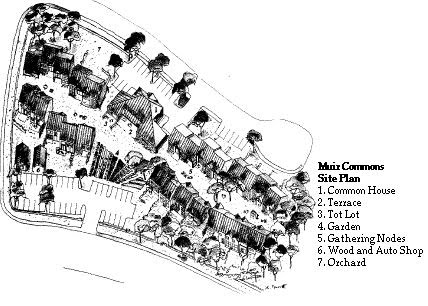 Muir Commons Community